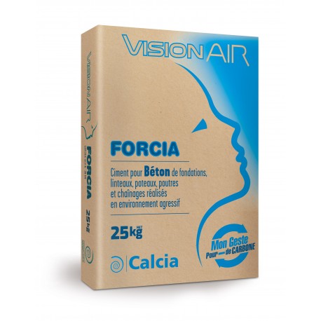 VisionAIR Forcia